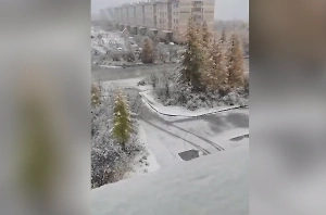 «Даже как-то поздновато»: Пока москвичи наслаждаются бабьим летом, в Сибири выпал снег