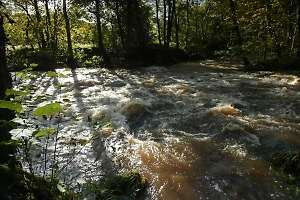 Три селевых потока сошли на Сахалине, нарушив водоснабжение