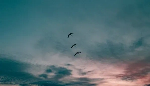 Латвия продолжит закрывать на ночь небо над границей с Россией