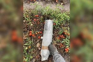 Поляки отбивались от БПЛА ракетами стоимостью около $2 млн за штуку