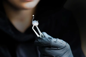 В квартире «кошелька» Зеленского нашли прослушку