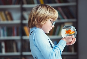 Практика из СССР: Психолог рассказала, как возвращение в школы живых уголков повлияет на наших детей