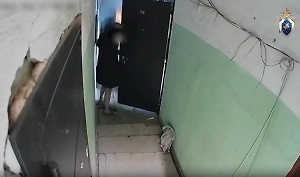 Россиянка обвинила соседку в похищении собаки и сожгла её заживо