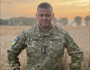 «Утопить Зеленского»: Life.ru выяснил цель шокирующих признаний Залужного о походе на Курск