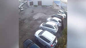 Женщина попала в реанимацию после нападения медведя в Петропавловске-Камчатском