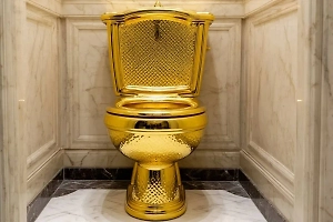 Сожительница экс-главы ГИБДД Ставрополья получит компенсацию за конфискацию дома с золотым унитазом