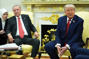 Трамп пообещал больше никогда не использовать выражение бумажный тигр