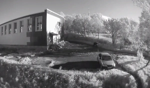 Растерзанная медведем женщина в Петропавловске-Камчатском скончалась в больнице