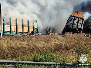 Водитель столкнувшегося с поездом грузовика под Смоленском ехал на красный