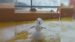 Суровый уральский сентябрь: Свердловскую область накрыл первый снегопад