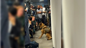 Неожиданный секьюрити: Пресс-конференцию Лаврова охраняла немецкая овчарка
