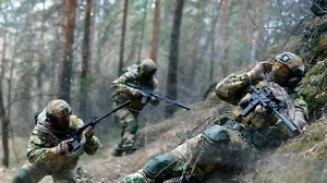 Военный обозреватель объяснил высокую смертность сражающихся за ВСУ наёмников в зоне СВО