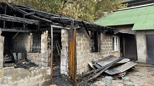 Появились фото сгоревшего приюта на севере Москвы, где погибли 13 собак