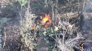 Эпичные кадры: Дроны спецназа «Ахмат» сожгли опорник ВСУшников на Харьковском направлении