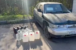 Сотрудники ГАИ изъяли свыше 120 литров суррогата на трассе Кола в Ленобласти