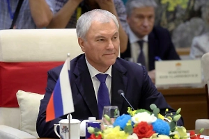 Володин обсудил торгово-экономическое сотрудничество с президентом Вьетнама