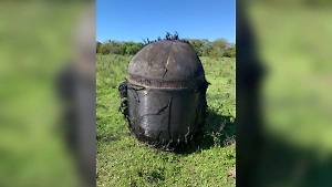 Загадочный мохнатый объект свалился с неба на ферму в Аргентине