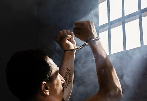 Кровь изо рта, ушей и носа: На ростовской ферме нашли 17 рабов в жутком состоянии