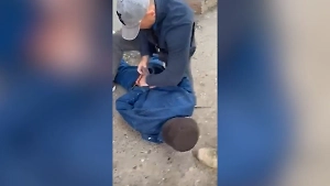 ФСБ задержала жителя Волгограда за призывы к расправе над властями