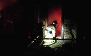 Более 10 животных погибли в страшном пожаре в Новосибирском зоопарке