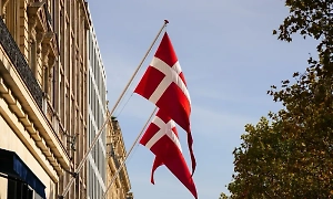 «Русские идут»: Военный эксперт раскрыл реальную причину экстренной мобилизации в Дании