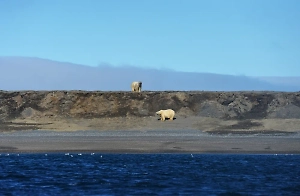 «Незаконно оккупировала»: В США положили глаз на российский остров