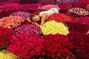 Лепс осыпал Аврору Кибу букетами из 15 тысяч роз за 8 млн