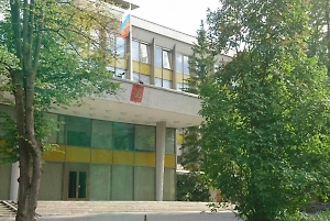 Посольство России в Швеции подверглось атаке дрона