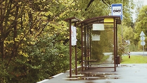 15-летнюю школьницу с билетом глубокой ночью высадили из автобуса у леса