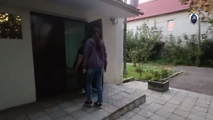 На хозяек передержки в Чехове, где собак били шокером и запирали, завели дело