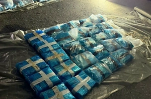 В Подмосковье задержали яблочную наркофуру из Молдавии с грузом на четверть миллиарда