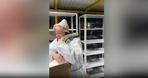 До слёз: Спасённый от мазута лебедь обнял волонтёра перед выпуском на волю