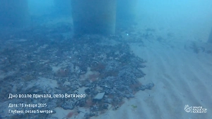 Мазутное дно Чёрного моря у затонувшего танкера «Волгонефть-239» сняли на видео