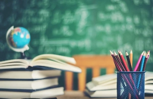 В школах Подмосковья усилили меры безопасности после пресечения теракта десятиклассника