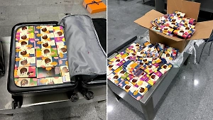 Двух «сладкоежек» с 56 кг дубайского шоколада задержали на таможне в Тюмени