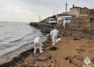 В мазуте утонули ещё 14,4 км прибрежной зоны Крыма