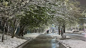 Травматолог назвал классические ошибки россиян, приводящие к падению в гололёд