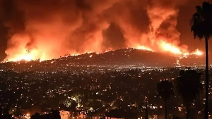 Россиянин рассказал о ситуации в пожираемом огнём Лос-Анджелесе: Люди паникуют и плачут