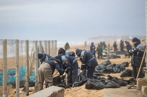 Более 157 тысяч тонн замазученного песка вывезли с побережья Кубани 