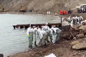 В МЧС рассказали, где сложилась самая тяжёлая ситуация после утечки мазута с танкеров