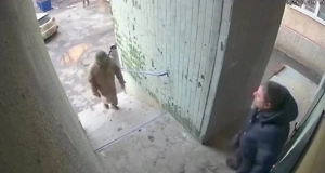 «Помогите!»: Одессит чудом спасся от военкома, забежав в чужой дом