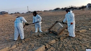 Кабмин выделил 1,5 млрд рублей на ликвидацию последствий разлива мазута