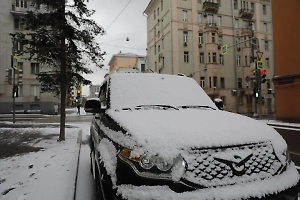 МВД и таможня опровергают «санкции» против авто, ввезённых по параллельному импорту