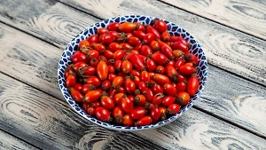 В шиповнике найдены «убийцы‎» раковых клеток