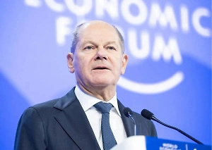 «Отвратительно и нехорошо»: Шольц осудил Маска за поддержку правых радикалов в ФРГ