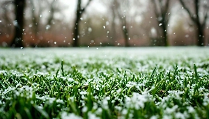 Синоптик предупредила москвичей о похолодании и раскрыла, ждать ли снега весной