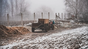 Климатолог рассказал об опасных последствиях тёплой зимы в России