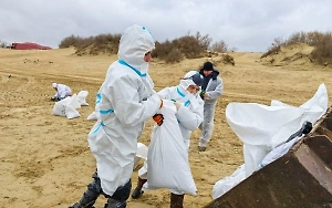 В РАН предложили «испанский опыт» для очистки Чёрного моря от мазута