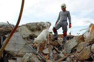 «Голландский Нострадамус» предрёк человечеству жуткие катаклизмы и мегаземлетрясения в 8,5 балла