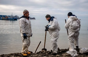 Чёрная собака по кличке Мазутка стала частью рабочей группы по откачке мазута на Кубани